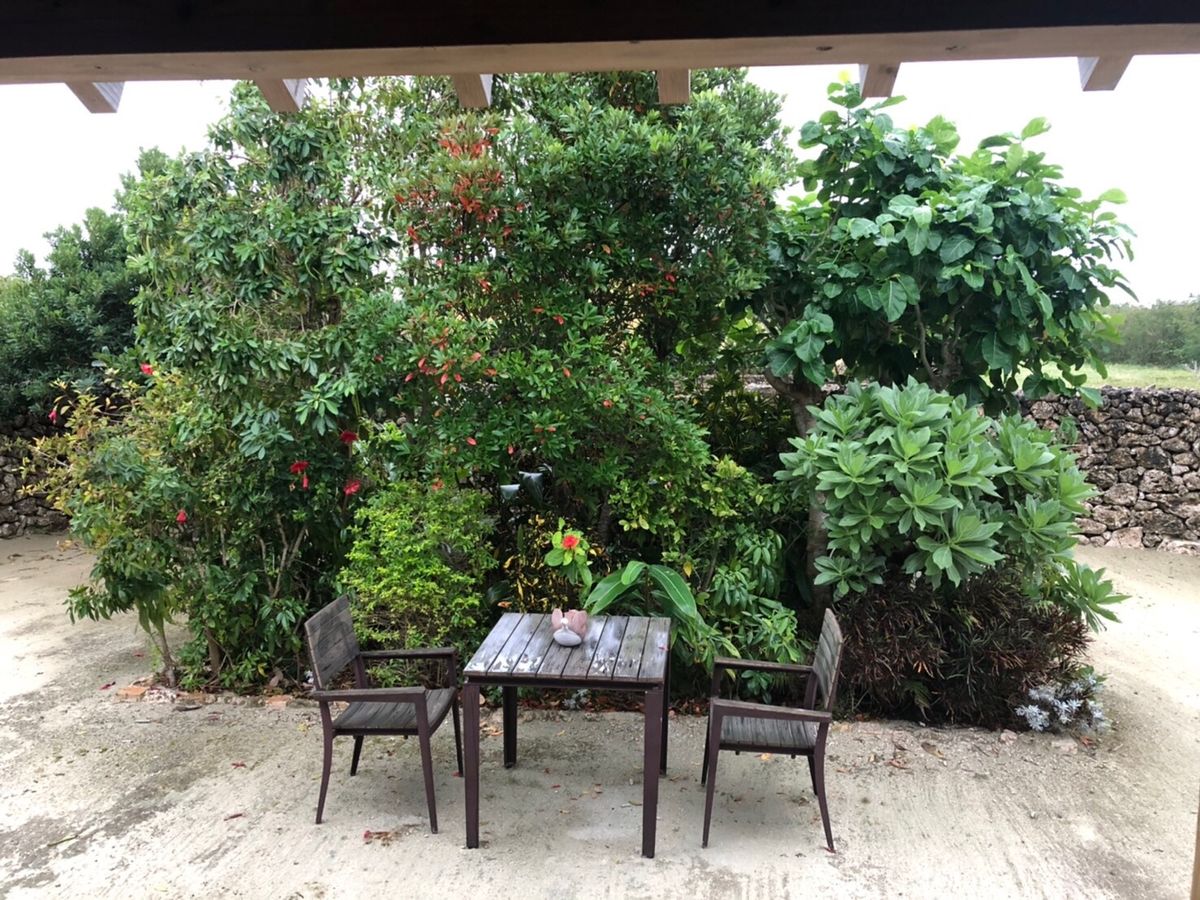 星野リゾート竹富島のキャンギという客室に泊まりました！