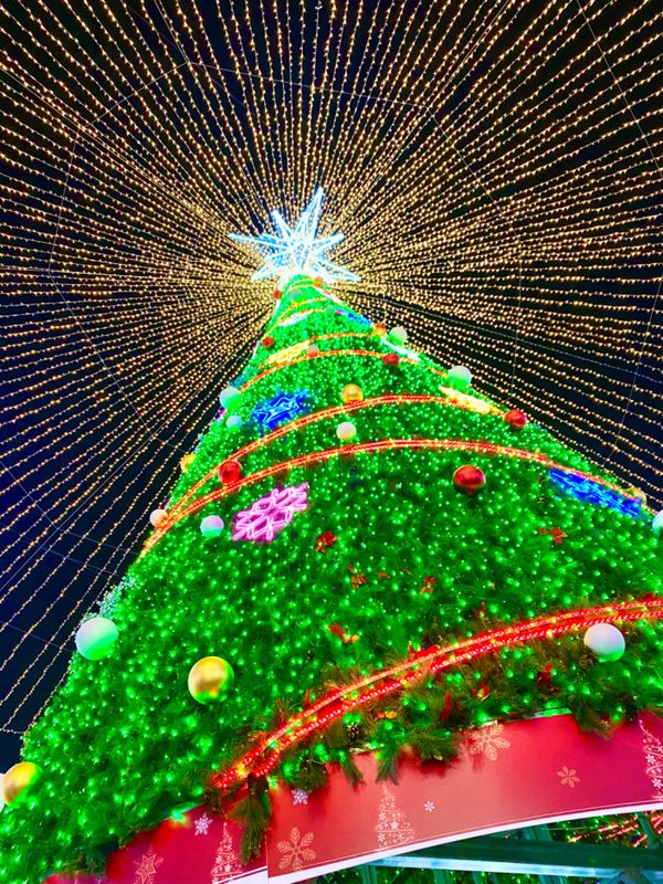 大韓民国 (韓国)・釜山「Busan」の写真：綺麗すぎ💫