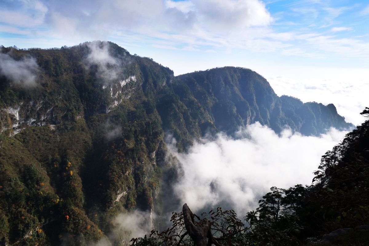 世界遺産の峨眉山へ。頂上は3000m超え。
成都から3時間くらいバスで行く...