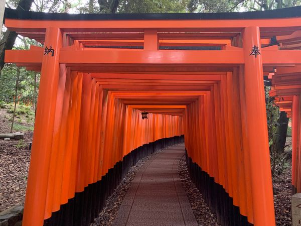 日本・京都「韓国から友達来て一緒に京都観光」の写真