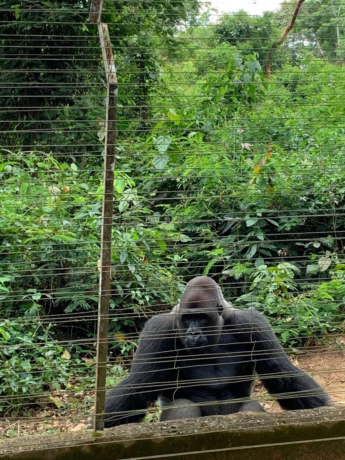 人と人との繋がりが強い国
困っている人がいたら助けるのが当たり前の国