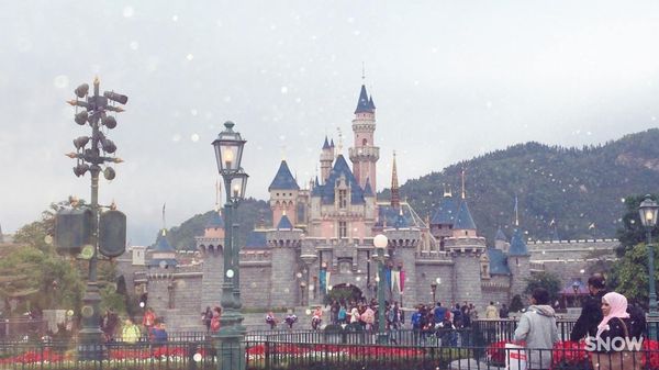 香港「〜香港〜アクションスター生まれがち🇭🇰」の写真：・城の可愛さは本気で推したい
・LUS...