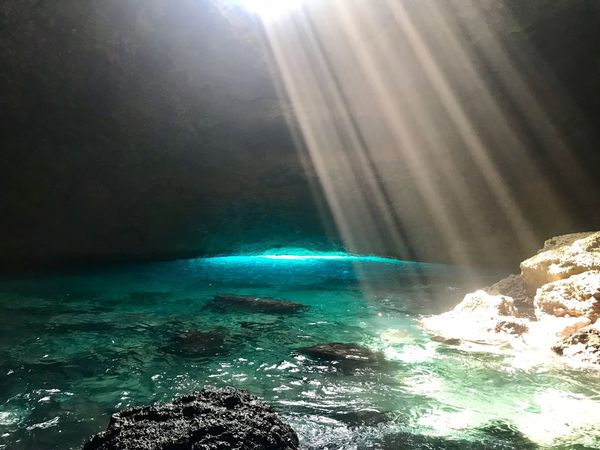 バヌアツ・タンナ島「バヌアツ大自然の旅」の写真：BlueCave
海からあがって
岩の上...