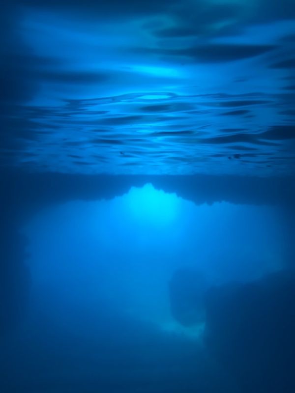 バヌアツ・タンナ島「バヌアツ大自然の旅」の写真：BlueCave

入り口のところを水中...