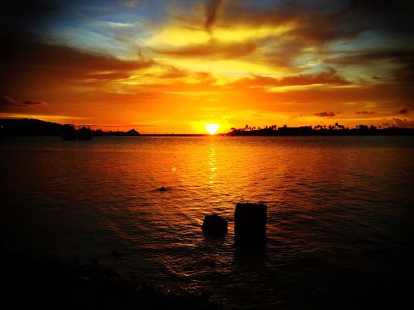グアム・グアム「〜グアム〜飛行機着陸直前のジャングル加減に引きがち🇬🇺」の写真：愛がありすぎるあまり弄っちゃうけど、やっ...