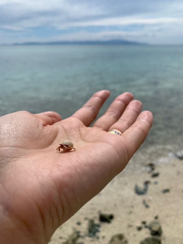 日本・石垣島「竹富〜西表〜石垣の旅」の写真：のんびりしない石垣の旅w。初日竹富島でサ...