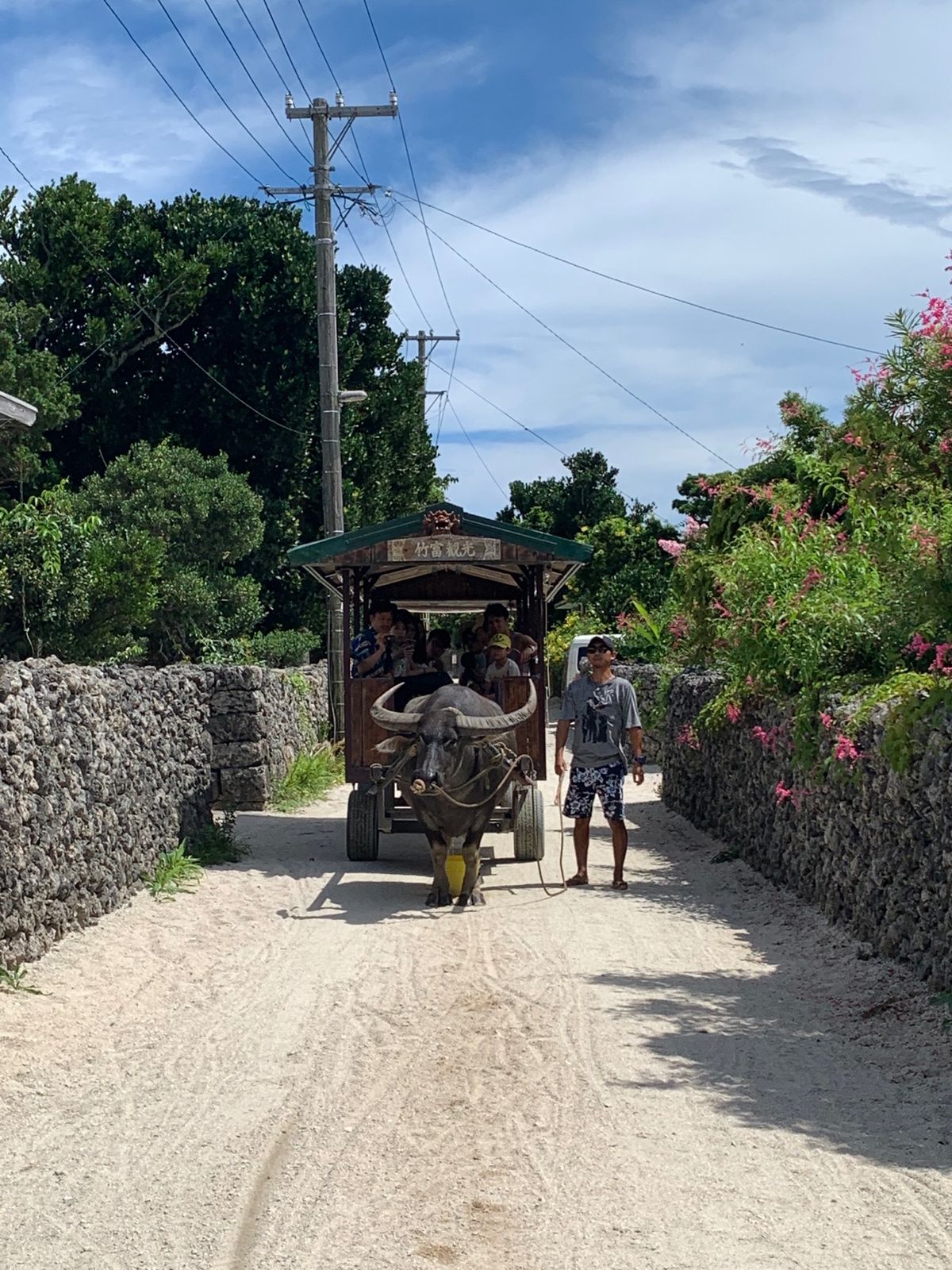 のんびりしない石垣の旅w。初日竹富島でサイクリング。二日目、早朝初の西表島...