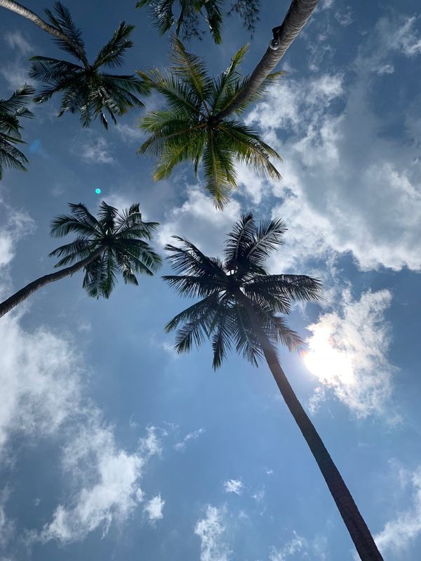 タイ・サムイ島「カウントダウン2019 in サムイ島」の写真：Nikki Beach koh Samu...