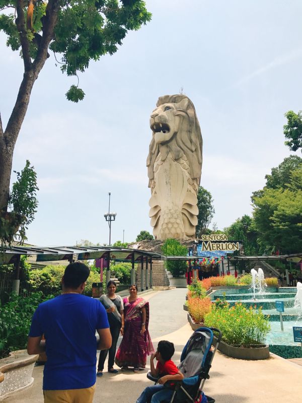 シンガポール・シンガポール「〜シンガポール〜英語聞き取れないことをシングリッシュのせいにしがち🇸🇬」の写真:夜見たら尚恐怖