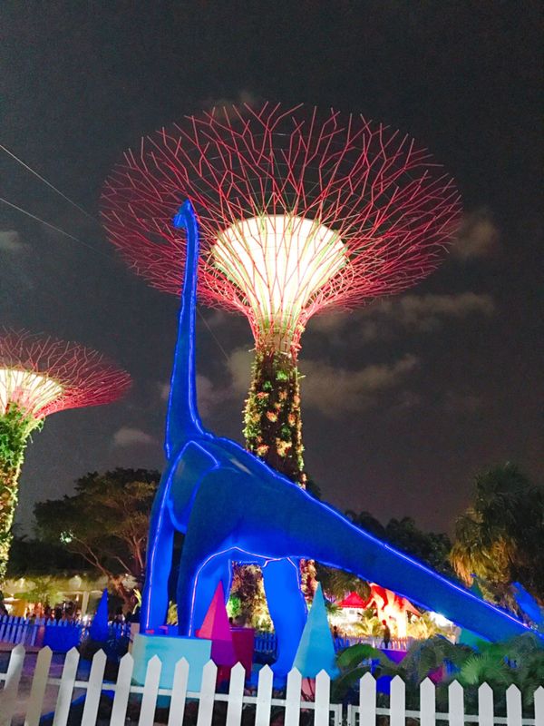 シンガポール・シンガポール「〜シンガポール〜英語聞き取れないことをシングリッシュのせいにしがち🇸🇬」の写真:これ考えた奴ちょっとヤバい奴な気がしてならん