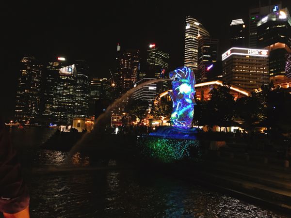 シンガポール・シンガポール「〜シンガポール〜英語聞き取れないことをシングリッシュのせいにしがち🇸🇬」の写真:マーライオンめちゃめちゃ光らすやん……………