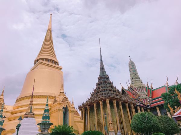 タイ・バンコク「〜バンコク〜象使いのおじさん日本の古めギャグ披露しがち🇹🇭」の写真:とにかく行ってみてほしい(浅)