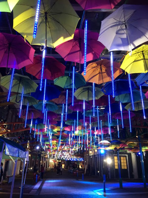 日本「2017年2月　ハウステンボス」の写真