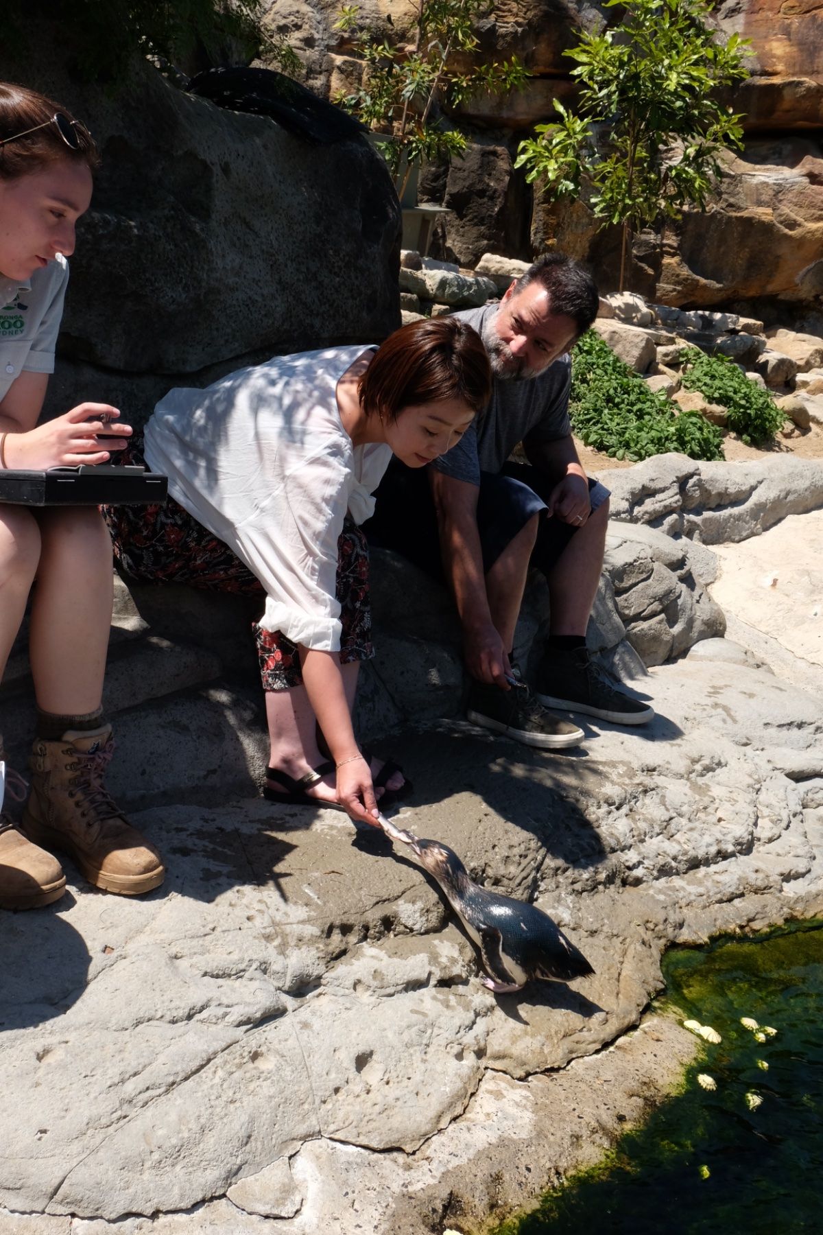 タロンガ動物園

ペンギンコーナーでも金に物言わせてエンカウンターチケット...