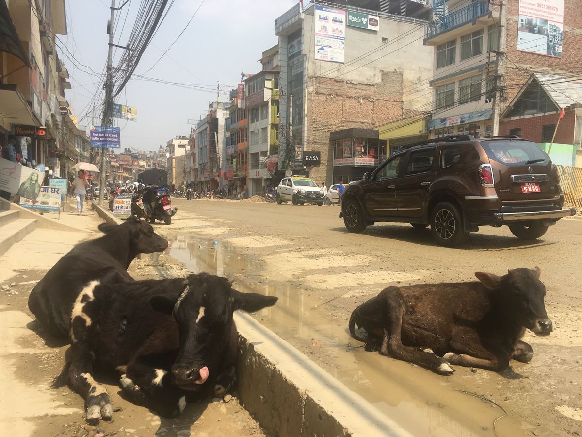 ネパール最大の仏塔ボタナート。街の中にあって、仏塔周りはゲストハウスやレス...