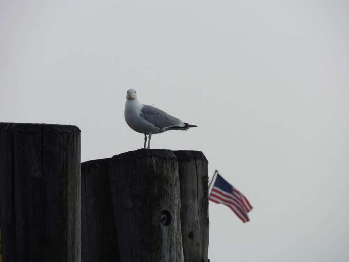 バッテリー公園(Battery Park)