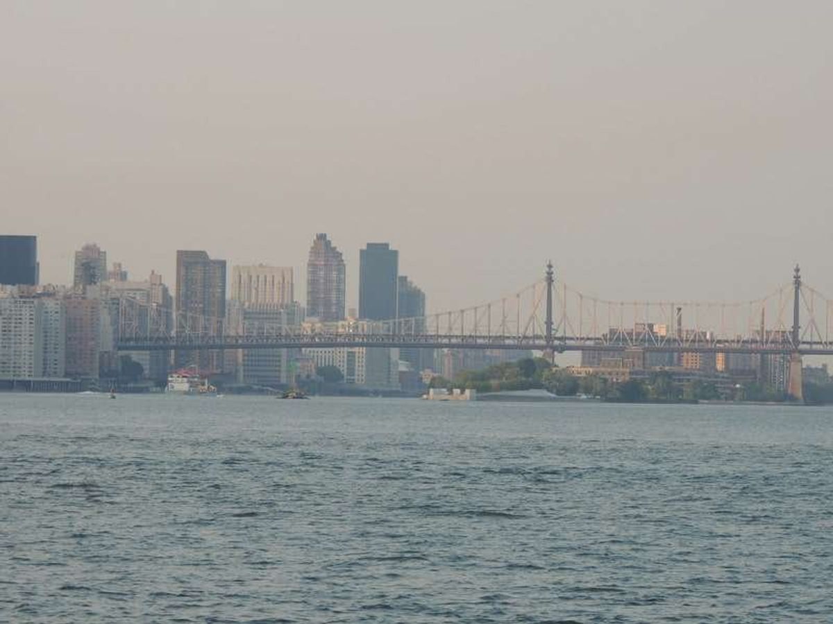 ストイフェサント・コーブ・パーク(Stuyvesant Cove Park)