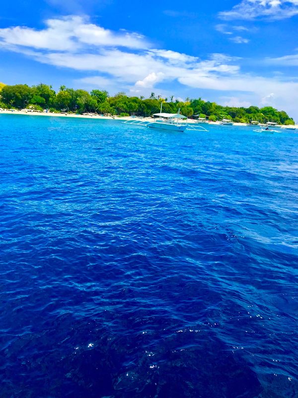 フィリピン・ボホール「ボホール島　フィリピン 」の写真：一日に150人しか入れないバリカサグ 
...