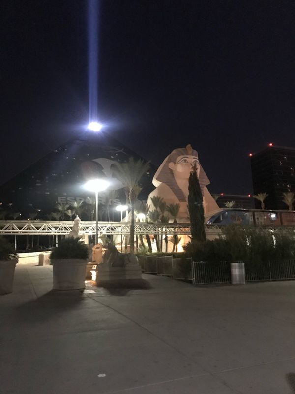 アメリカ(米国)・ラスベガス「〜ラスベガス〜ホテルデカすぎて距離感バグりがち🇺🇸」の写真:異質&異質