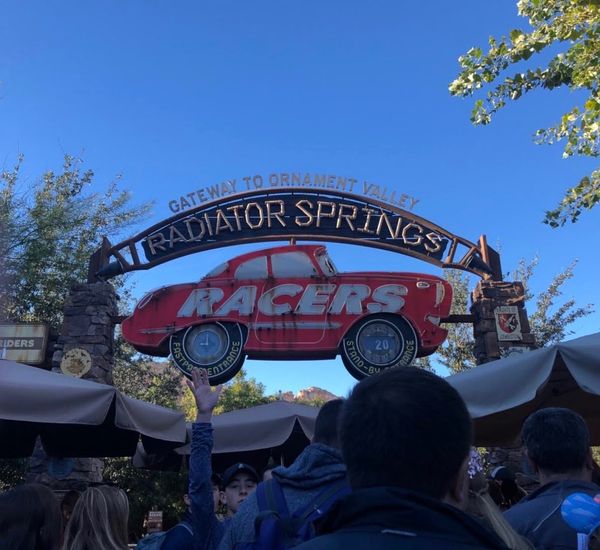 アメリカ(米国)・ロサンゼルス「〜ロサンゼルス〜アメリカンドリーム秒で諦めがち🇺🇸」の写真：日本のディズニーに慣れればどのディズニー...