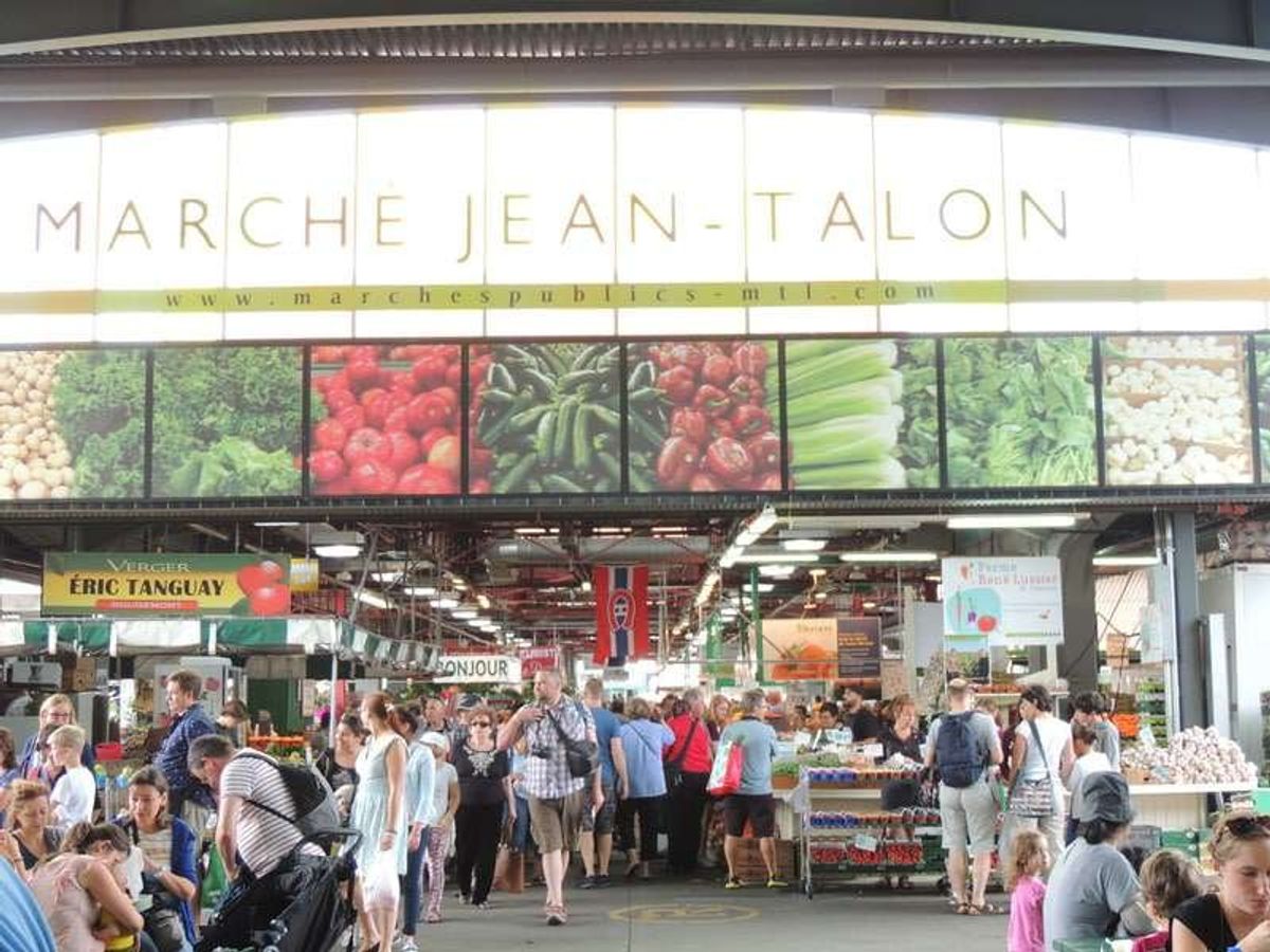 ジーンタロン市場