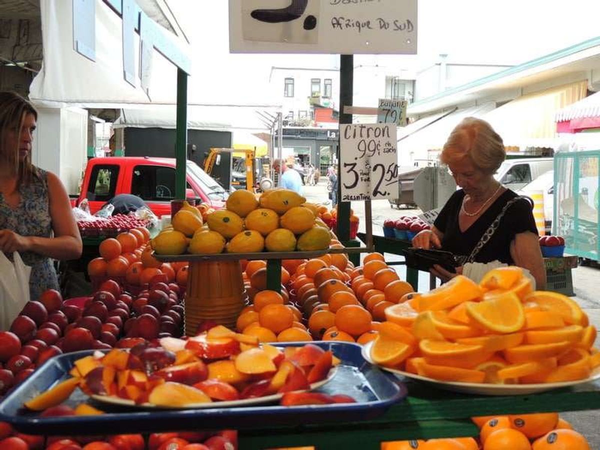 ジーンタロン市場