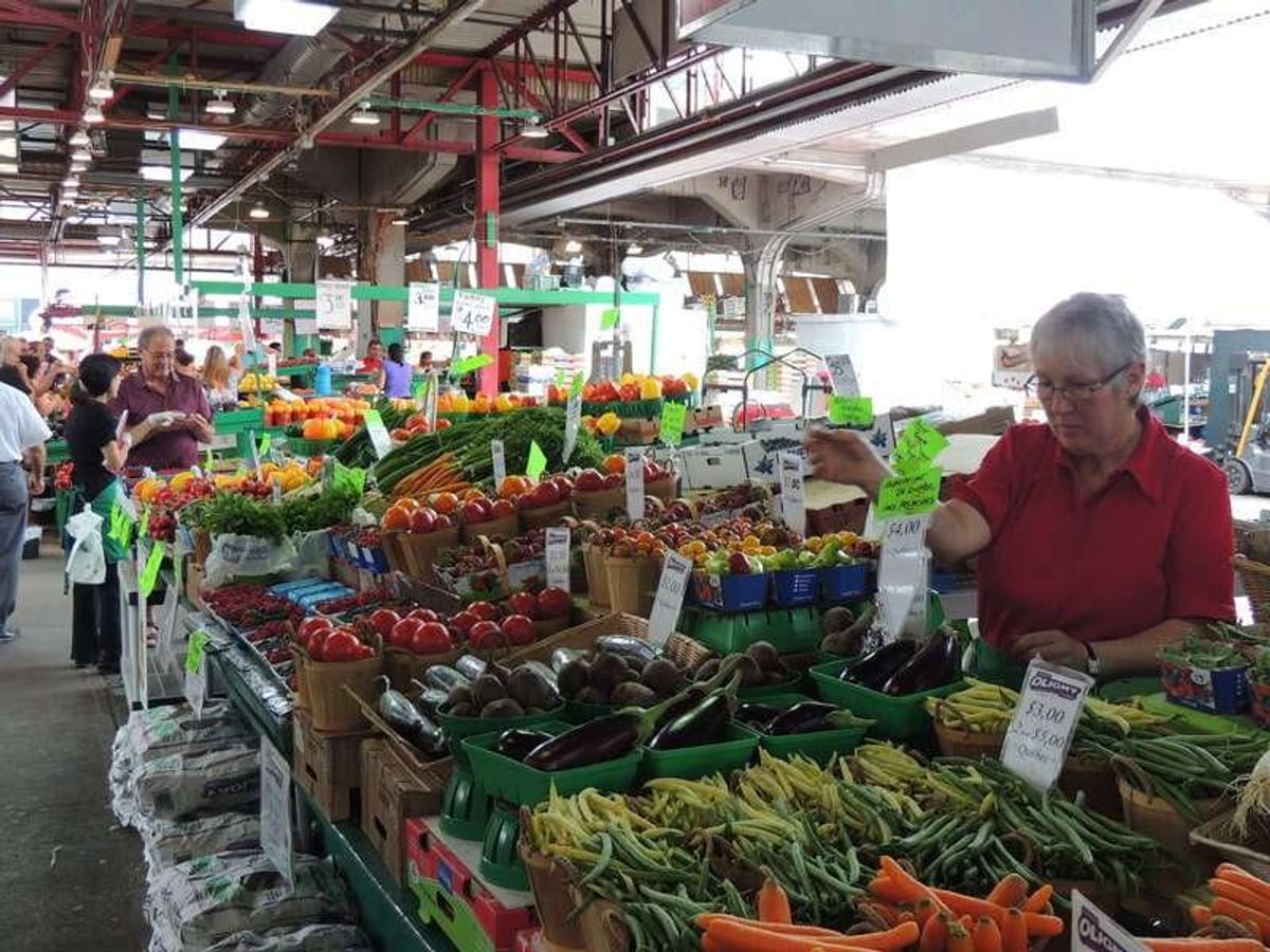 ジーンタロン市場