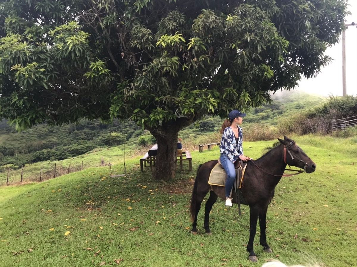 カーンの乗馬farm
日本では安全性を考慮して、色んな装備をつける乗馬。で...