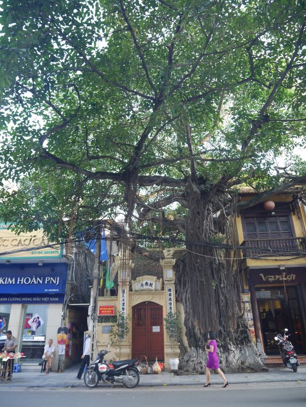 ベトナム・ハノイ「ハノイ」の写真