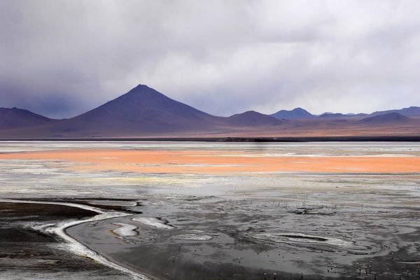 ボリビア多民族国・Uyuni「ペルーボリビア旅」の写真：ウユニから南部のチリ方面へ行った国立公園...