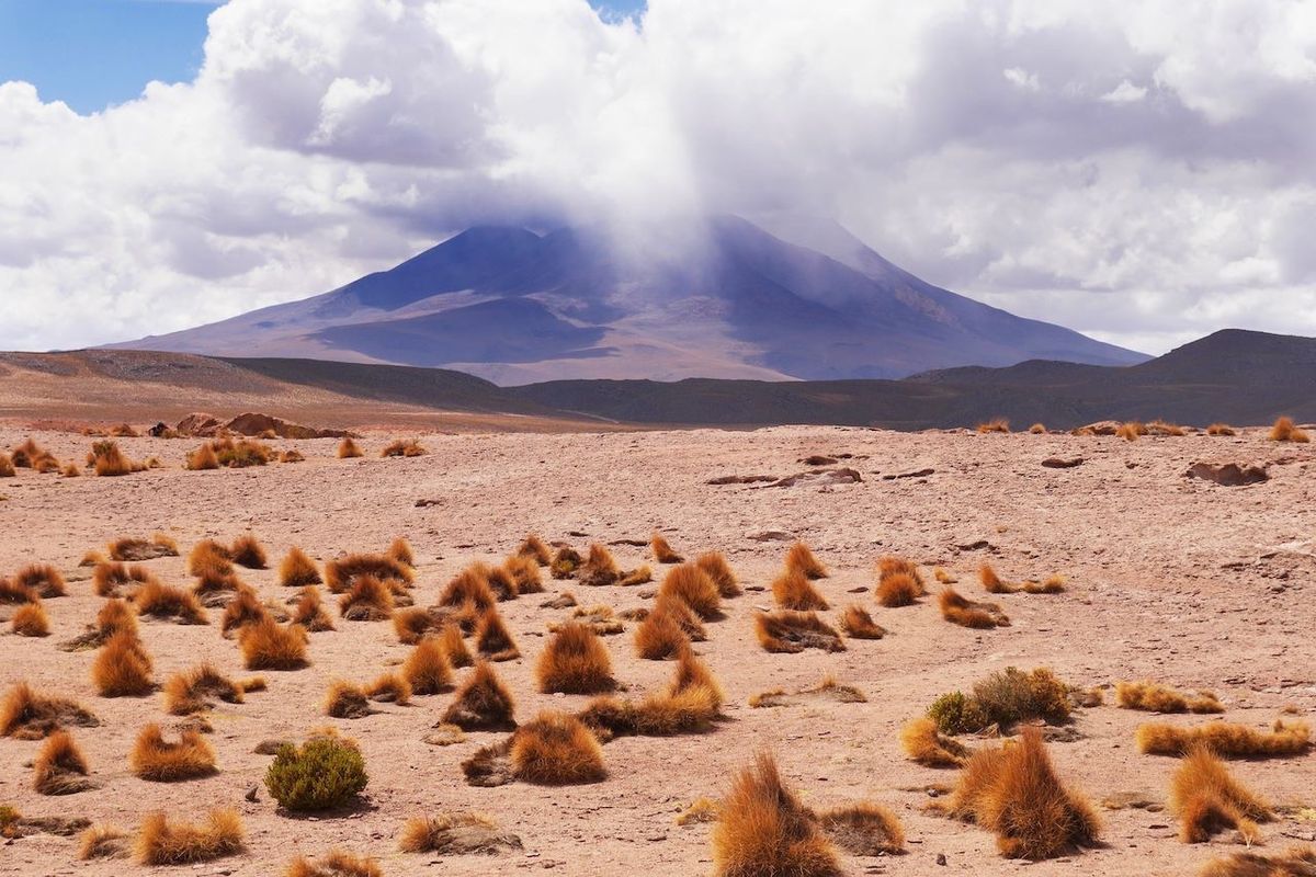 ウユニから南部のチリ方面へ行った国立公園。ウユニ塩湖より この自然が好き。...