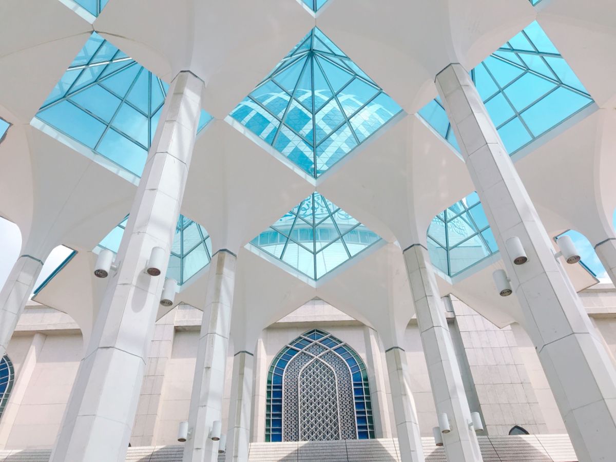 ボケる余地なくただただ綺麗