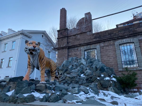 ロシア連邦・ウラジオストク「ロシア🇷🇺」の写真