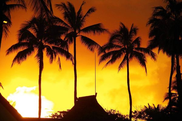 アメリカ(米国)・ハワイ　ホノルル　ワイキキ「School trip in Hawaii🌺」の写真：ハワイ楽しすぎて
いや、まじ、感動🥺