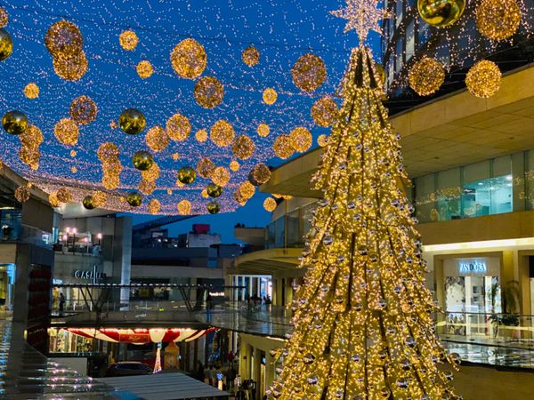メキシコ・メキシコシティ「ただいまメキシコ！」の写真：路面店は根こそぎ閉まってるので
ショッピ...