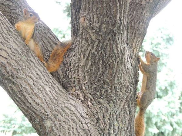 アメリカ(米国)・ネブラスカ「2014年 ネブラスカ州　オマハ　ウォーレン・バフェットとマルコムXゆかりの街」の写真