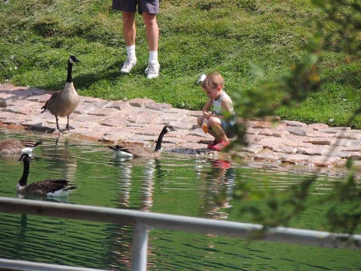 ジーン リーヒ モール(Gene Leahy Mall)