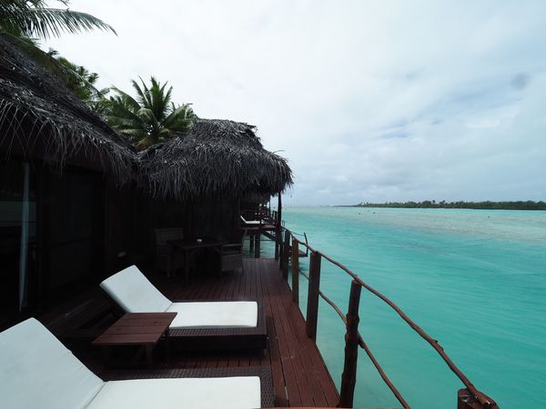 クック諸島・アイツタキ「cook islands」の写真：NZのマラハウからネルソン✈︎オークラン...