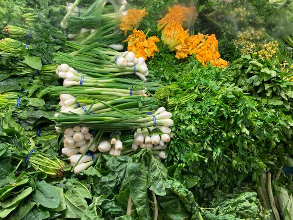 メキシコ・メキシコシティ「ただいまメキシコ！」の写真：今日もレストランは根こそぎ閉まってるので...