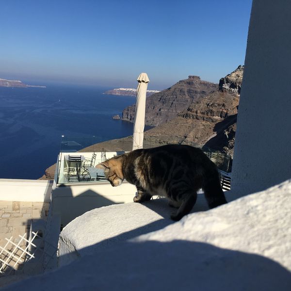 ギリシャ・アテネ「Santorini&Athens」の写真