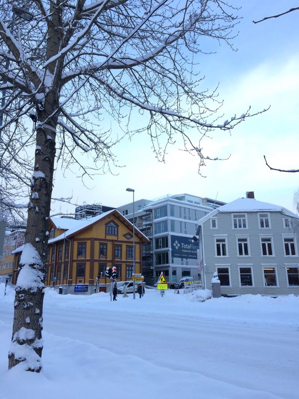 ノルウェー・ベルゲン「Nothern lite in Norway」の写真