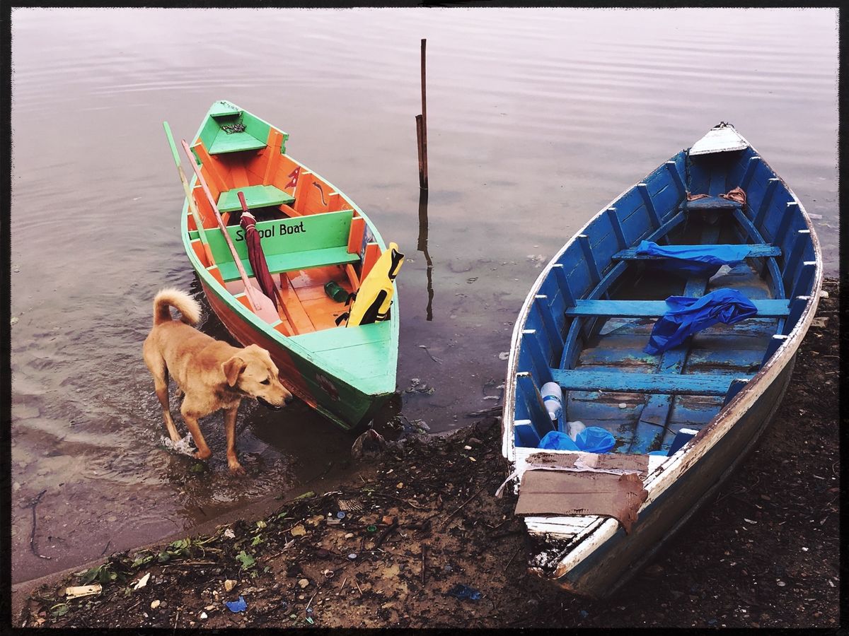 のんびりユルい空気のポカラ。めちゃくちゃ居心地がいい。