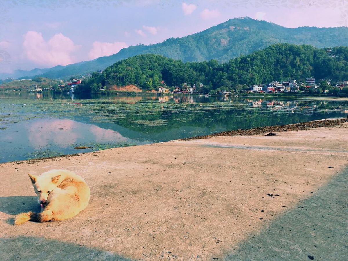 のんびりユルい空気のポカラ。めちゃくちゃ居心地がいい。