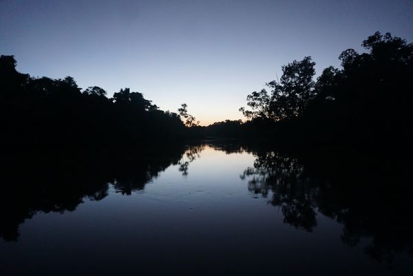 ベネズエラ・ボリバル共和国・シウダードボリバル「Venezuela」の写真：オリノコデルタでキャンプ
アマゾン川の...