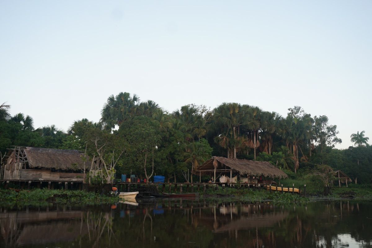 オリノコデルタでキャンプ
アマゾン川の支流の河口の村から渡し舟みたいなの...