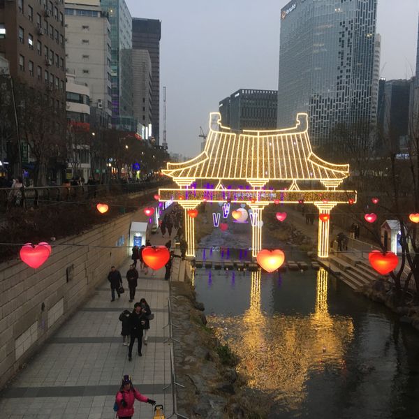 大韓民国 (韓国)・ソウル「韓国🇰🇷4(ソウル)」の写真：クリスマスシーズン🎄
イルミネーションが...