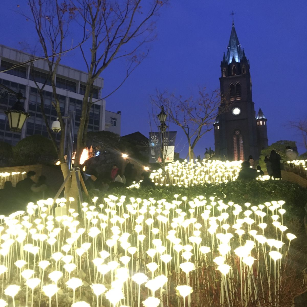 クリスマスシーズン🎄
イルミネーションがキレイ✨