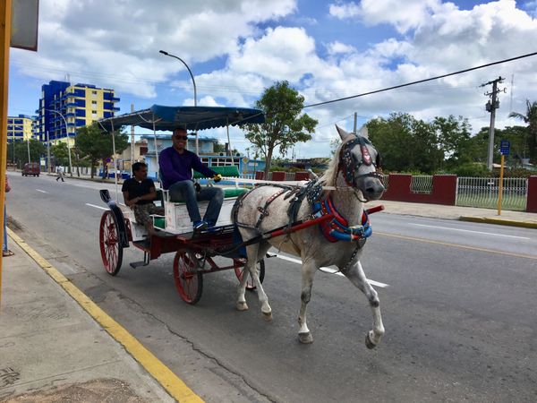 キューバ・ハバナ「キューバ🇨🇺」の写真