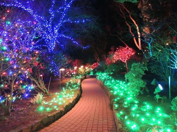 カナダ・バンクーバー「2014年 娘の留学先ビクトリアで家族集合」の写真