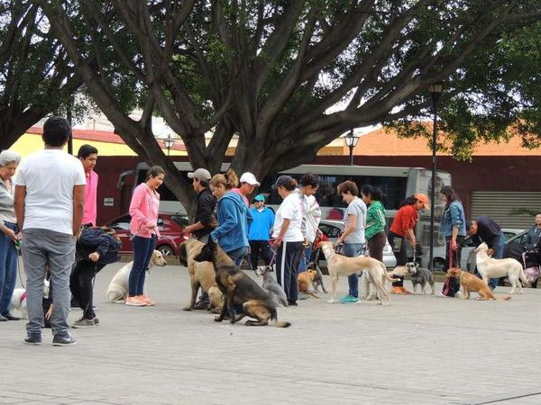 メキシコ・カンクン「2015年 メキシコ南部　カンクンとオアハカ」の写真：オアハカの日曜日の朝。中米より生活レベル...